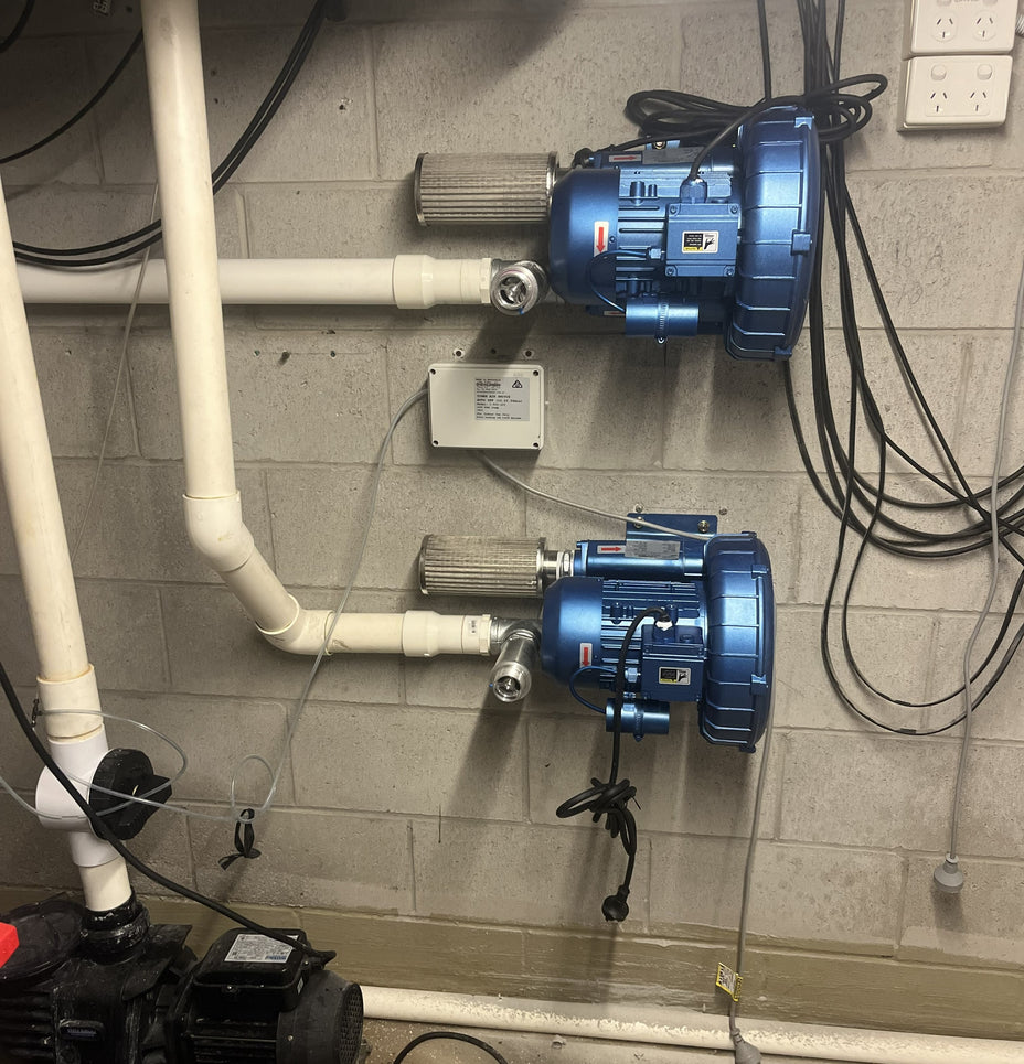 Two blue commercial grade spa blowers attached to white pipes on a plant room wall.